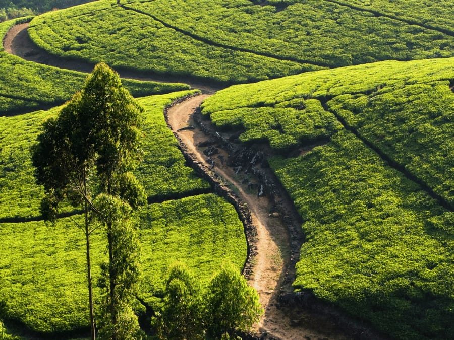 Flyways Sri Lanka